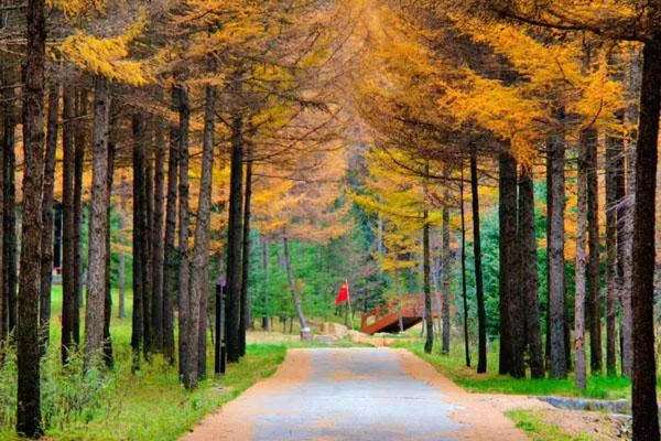 六盤(pán)山國(guó)家森林公園<a href='/lvyougonglue/' target=_blank>旅游攻略</a> 景點(diǎn)一日游攻略